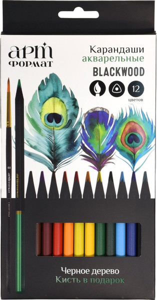 Набор акварельных карандашей АртФормат Blackwood / AF03-061-12 - фото