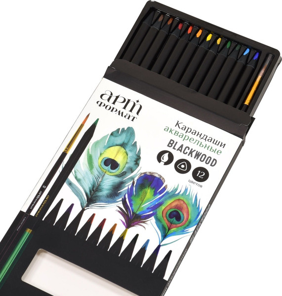Набор акварельных карандашей АртФормат Blackwood / AF03-061-12