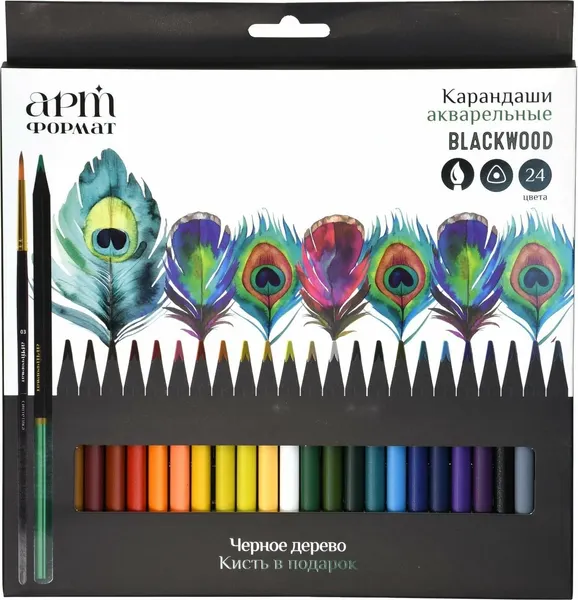 Набор акварельных карандашей АртФормат Blackwood / AF03-061-24 - фото