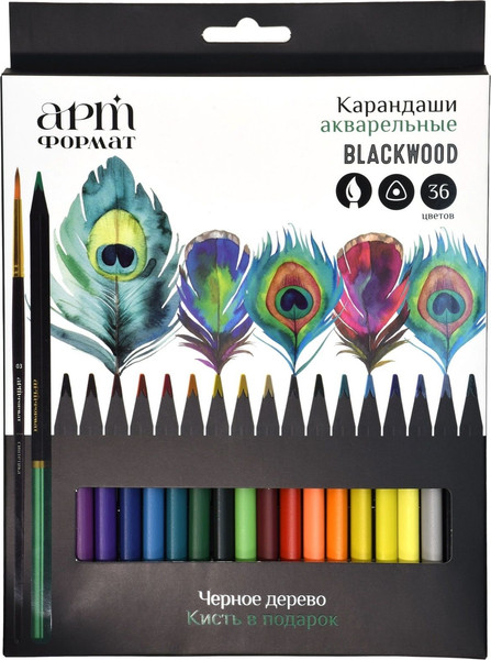 Набор акварельных карандашей АртФормат Blackwood / AF03-061-36 - фото