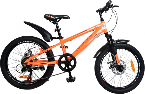 Детский велосипед ROOK MA200D Disk - фото