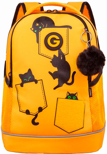 Школьный рюкзак Grizzly RG-663-2 - фото