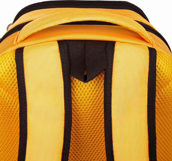 Школьный рюкзак Grizzly RG-663-2