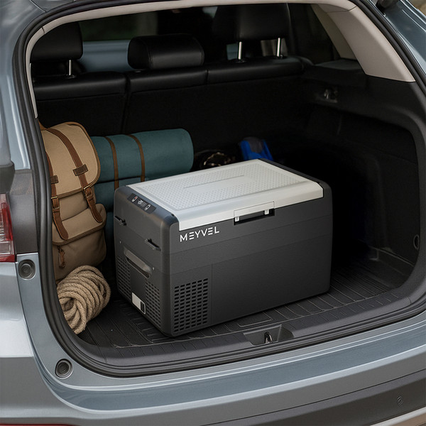 Автохолодильник Meyvel AF-L25 ICE
