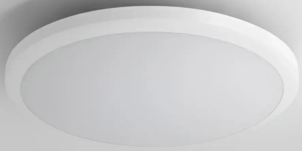 Потолочный светильник Truenergy 11602 - фото