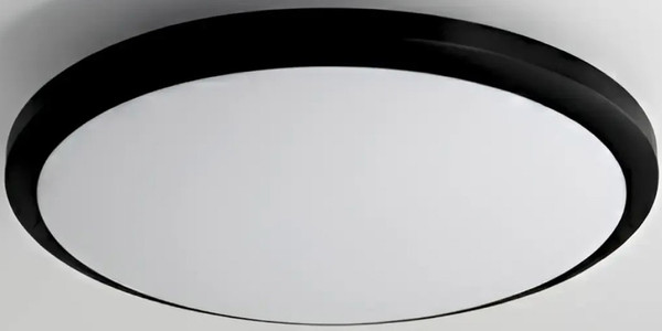 Потолочный светильник Truenergy 11603 - фото