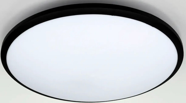 Потолочный светильник Truenergy 11605 - фото