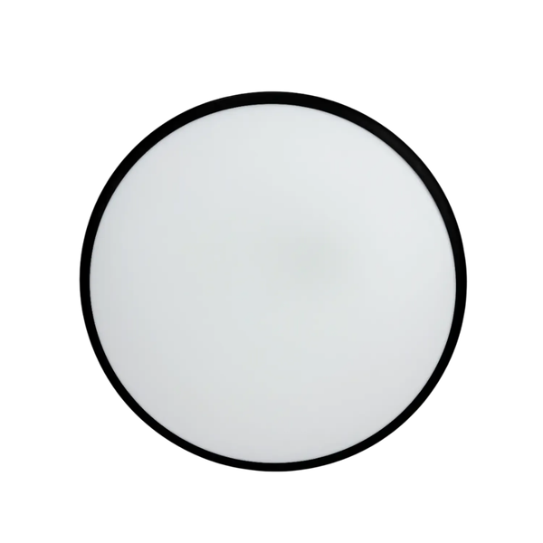 Потолочный светильник Truenergy 11605