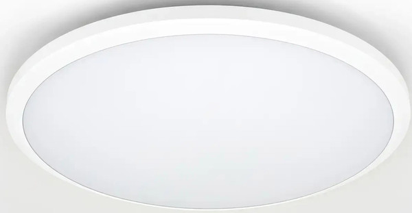 Потолочный светильник Truenergy 11606 - фото