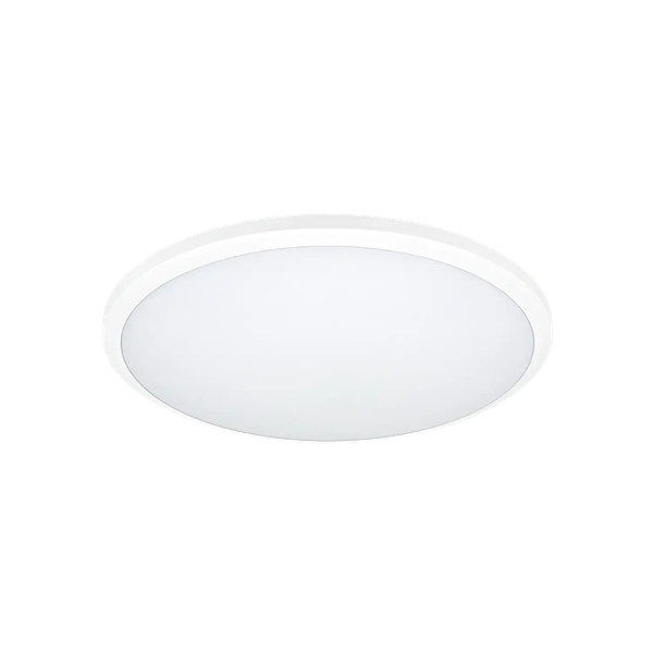 Потолочный светильник Truenergy 11606