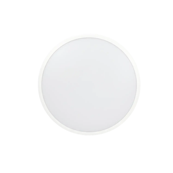 Потолочный светильник Truenergy 11606