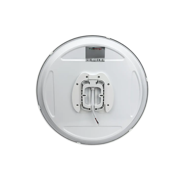 Потолочный светильник Truenergy 11606