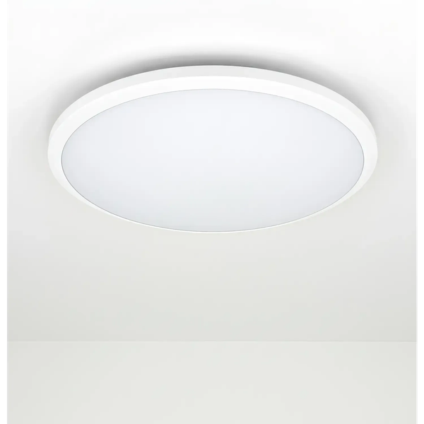 Потолочный светильник Truenergy 11606