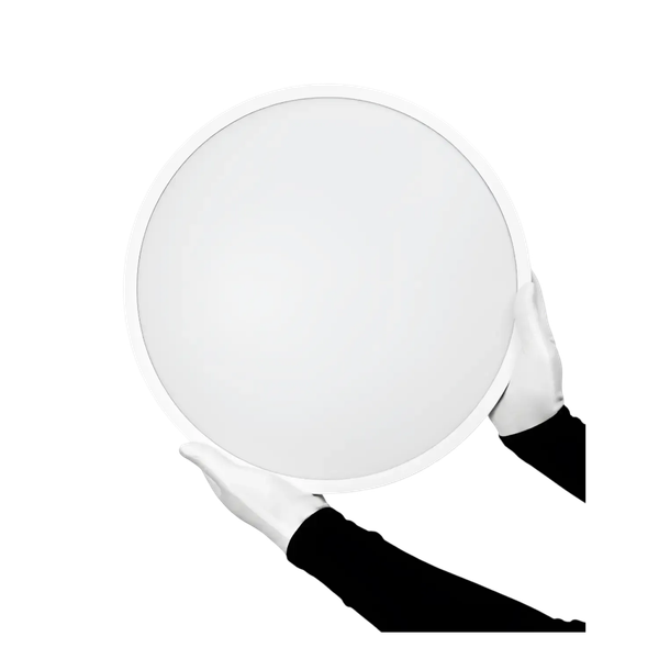 Потолочный светильник Truenergy 11607