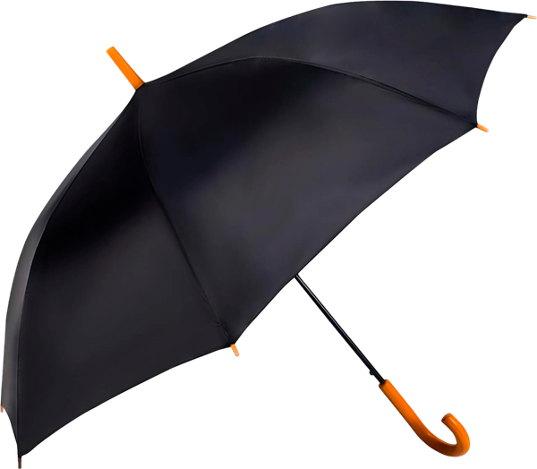 Зонт складной RST Umbrella 1155B - фото