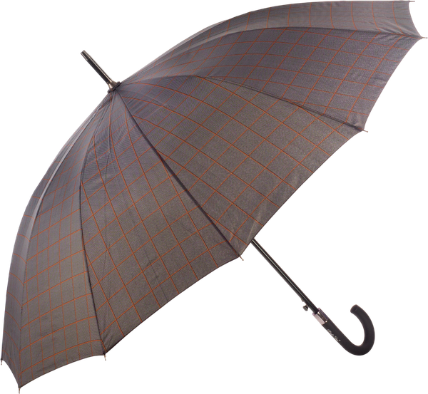 Зонт-трость RST Umbrella 1908-C2 - фото
