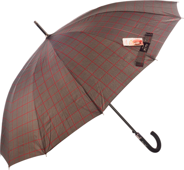 Зонт-трость RST Umbrella 1908-C4 - фото