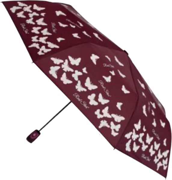 Зонт складной RST Umbrella 3810A-C2 - фото