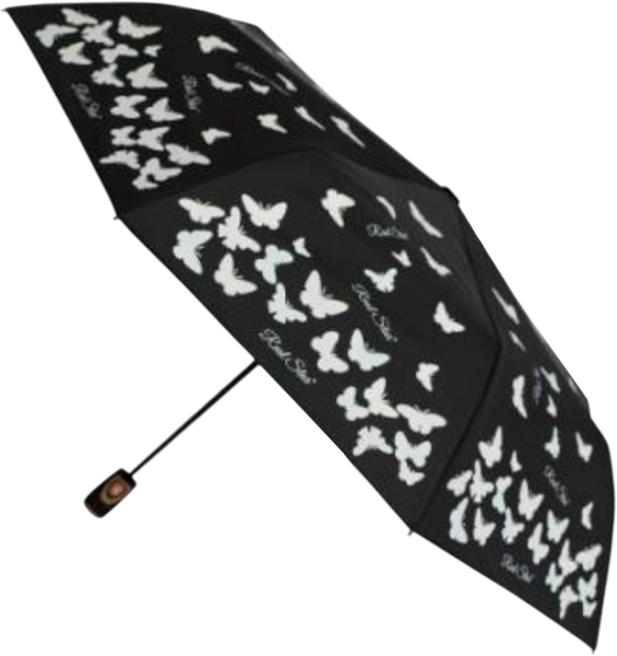 Зонт складной RST Umbrella 3810A-C3 - фото