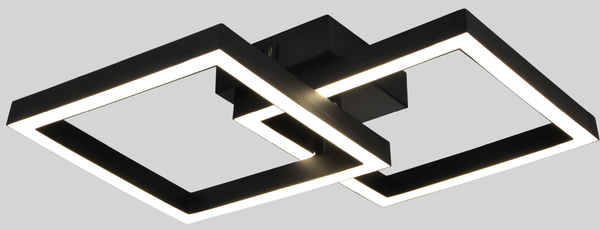 Потолочный светильник ESCADA 10258/2LED - фото