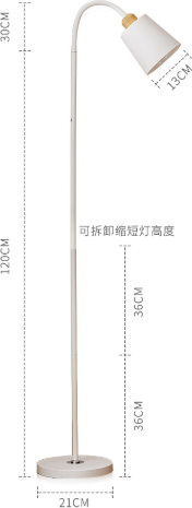 Торшер Sundays Home LS259821