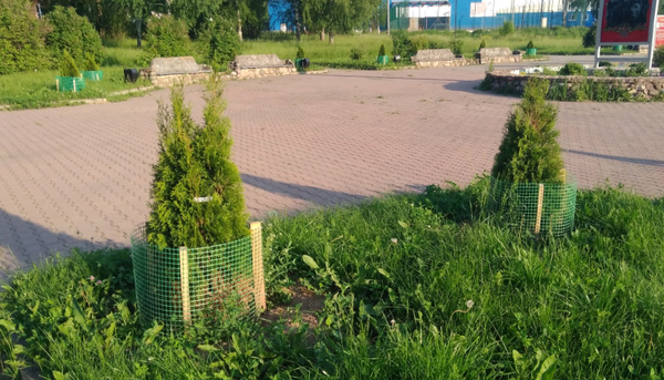 Сетка садовая Протэкт Яркая 20x20 / 9728