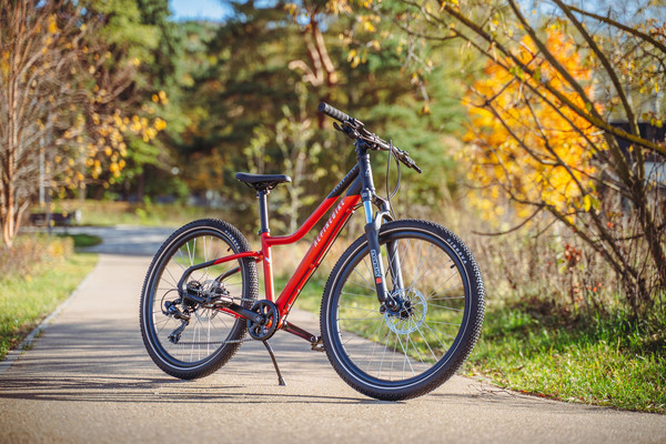 Велосипед Alpinebike Pegas 7-24 / TSRD00174603