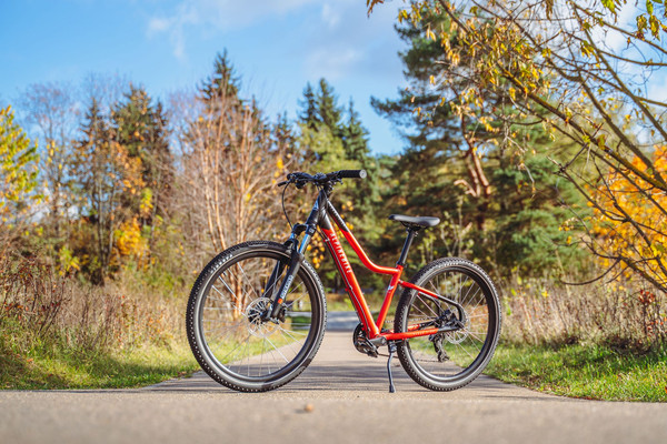 Велосипед Alpinebike Pegas 7-24 / TSRD00174603