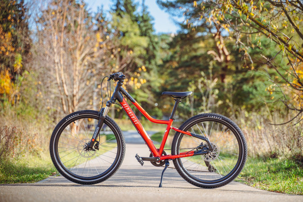 Велосипед Alpinebike Pegas 7-24 / TSRD00174603