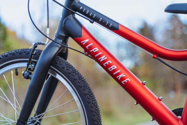 Детский велосипед Alpinebike Pegas 3-20 / TSRD00174600