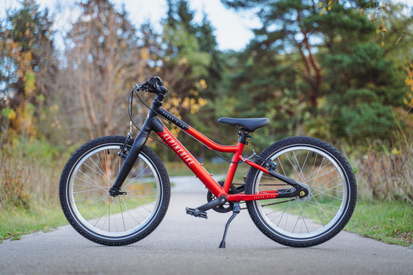 Детский велосипед Alpinebike Pegas 3-20 / TSRD00174600