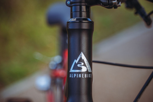 Детский велосипед Alpinebike Pegas 3-20 / TSRD00174600
