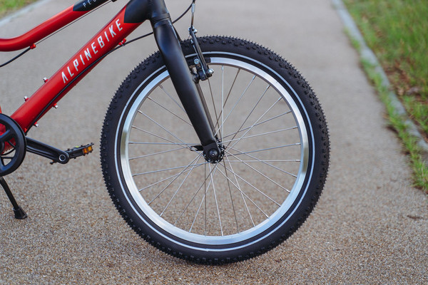 Детский велосипед Alpinebike Pegas 3-20 / TSRD00174600