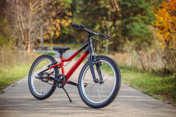 Детский велосипед Alpinebike Pegas 3-20 / TSRD00174600