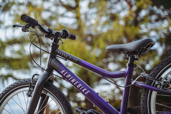 Детский велосипед Alpinebike Pegas 3-20 / TSRD00174601