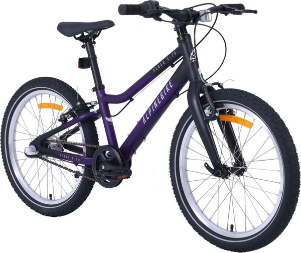Детский велосипед Alpinebike Pegas 3-20 / TSRD00174601
