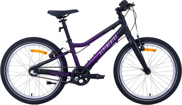 Детский велосипед Alpinebike Pegas 3-20 / TSRD00174601 - фото