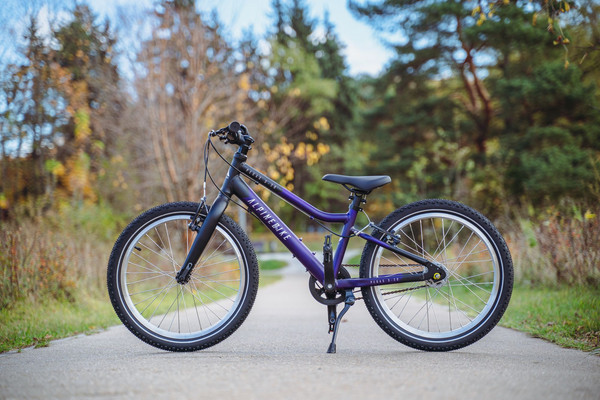 Детский велосипед Alpinebike Pegas 3-20 / TSRD00174601