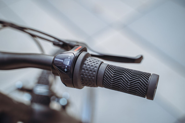 Детский велосипед Alpinebike Pegas 3-20 / TSRD00174601