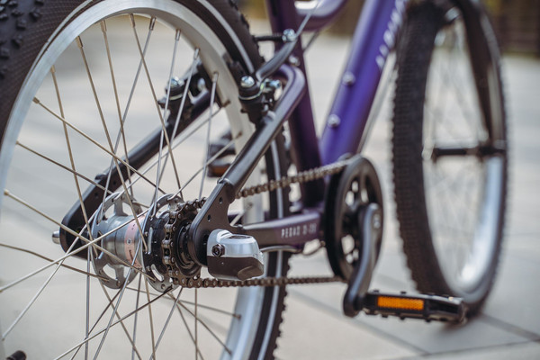 Детский велосипед Alpinebike Pegas 3-20 / TSRD00174601