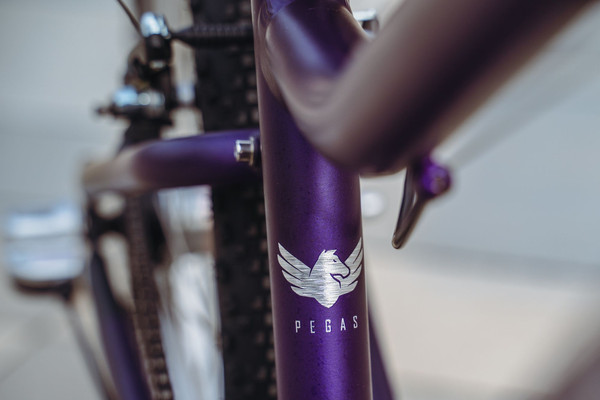 Детский велосипед Alpinebike Pegas 3-20 / TSRD00174601