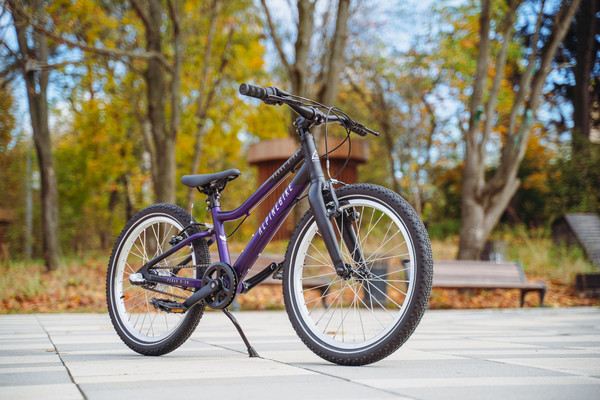 Детский велосипед Alpinebike Pegas 3-20 / TSRD00174601