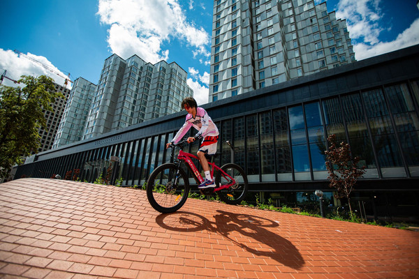 Электровелосипед Alpinebike МТБ / ALPN_J23ES007_E_M_R