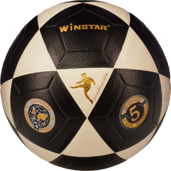 Футбольный мяч Winstar WN11001 - фото