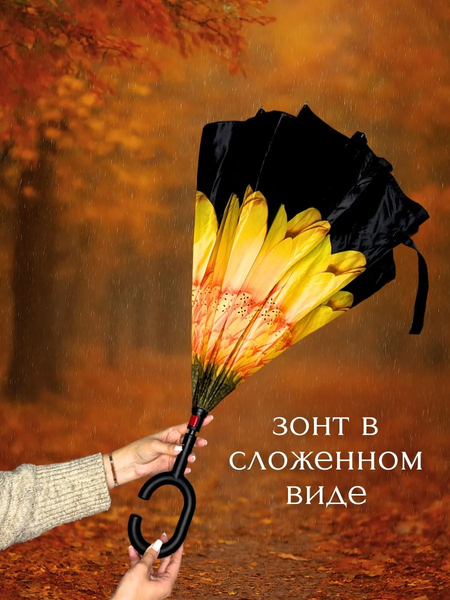 Зонт-трость Wahoo Цветок света YF7396