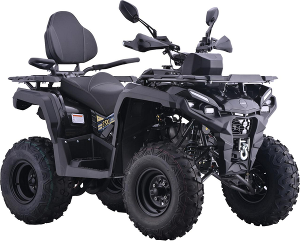 Квадроцикл AVM Adventure 250 - фото