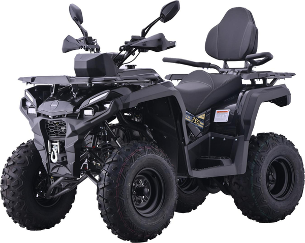 Квадроцикл AVM Adventure 250