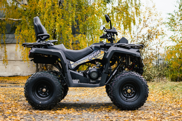 Квадроцикл AVM Adventure 250
