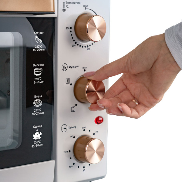 Ростер Endever Danko 4038