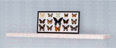 Полка Dipriz Мэдисон Д 3441